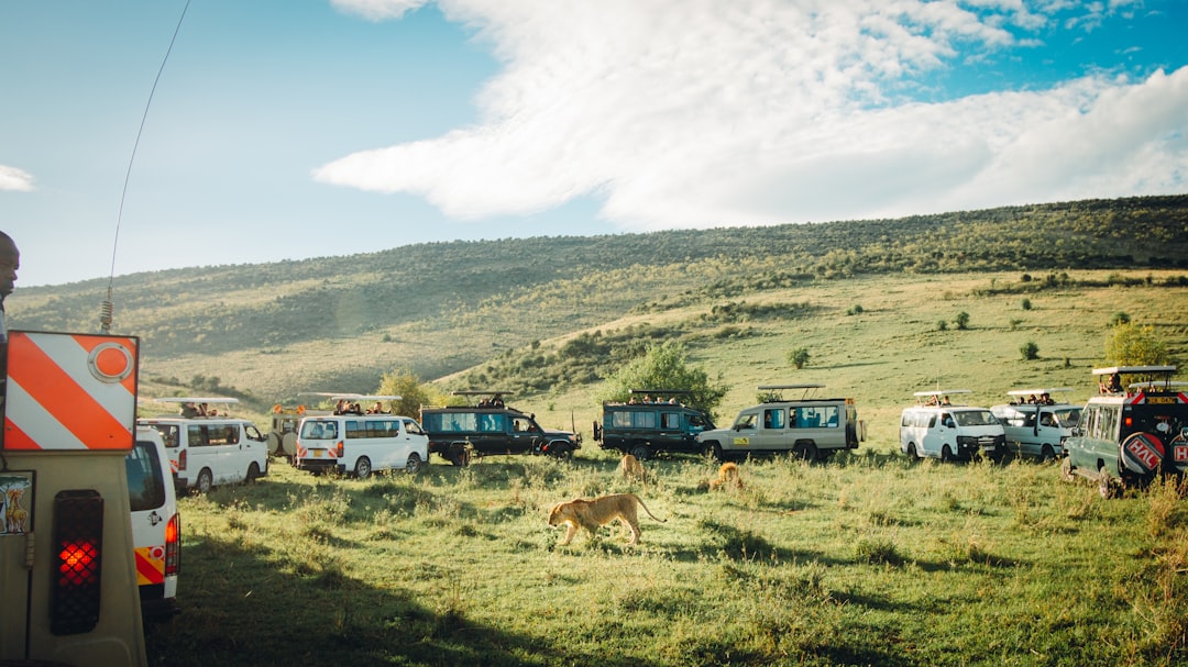 Photo Truck fleet